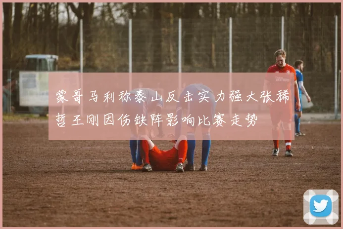 蒙哥马利称泰山反击实力强大张稀哲王刚因伤缺阵影响比赛走势