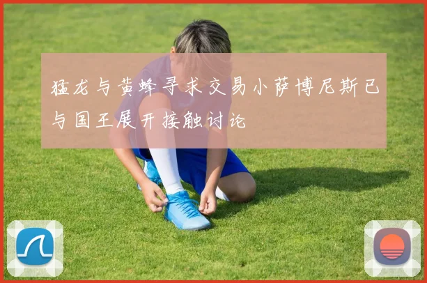 猛龙与黄蜂寻求交易小萨博尼斯已与国王展开接触讨论