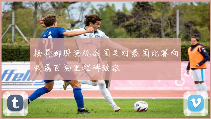 杨莉娜现场观战国足对泰国比赛向武磊百场里程碑致敬